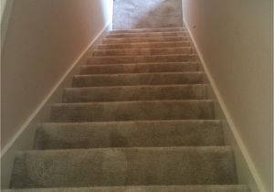 Carpet Cleaning Grand Junction Contact O G Pro Carpet Care Carpet Cleaning Grand Rapids