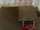 Carpet Cleaning Grand Junction Contact O G Pro Carpet Care Carpet Cleaning Grand Rapids