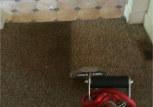 Carpet Cleaning Grand Junction Contact O G Pro Carpet Care Carpet Cleaning Grand Rapids