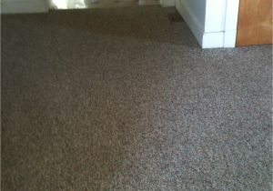 Carpet Cleaning Grand Junction Contact O G Pro Carpet Care Carpet Cleaning Grand Rapids