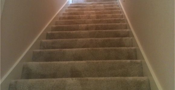 Carpet Cleaning Grand Junction Contact O G Pro Carpet Care Carpet Cleaning Grand Rapids