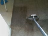 Carpet Cleaning Grand Junction Contact O G Pro Carpet Care Carpet Cleaning Grand Rapids