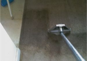 Carpet Cleaning Grand Junction Contact O G Pro Carpet Care Carpet Cleaning Grand Rapids