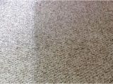 Carpet Cleaning Harrisonburg Va Carpet Cleaning Spotless Speciality Cleaning