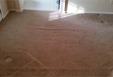 Carpet Cleaning In Rio Rancho Rio Rancho Carpet Restretch Carpet Repair Cleaning