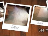 Carpet Cleaning Janesville Wi Carpet Cleaning In Janesville Wi