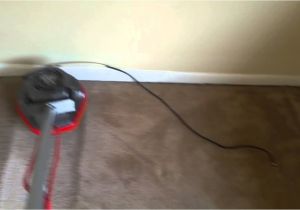 Carpet Cleaning Loganville Ga Truman Steemers Carpet Cleaning Loganville Ga Youtube