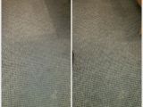 Carpet Cleaning Midlothian Va Carpet Cleaning Midlothian Va Citrusolution