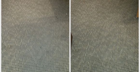 Carpet Cleaning Midlothian Va Carpet Cleaning Midlothian Va Citrusolution