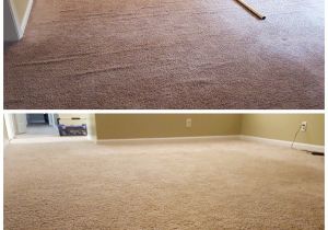 Carpet Cleaning Midlothian Va Midlothian Carpet Stretching Steamline Carpet Cleaning