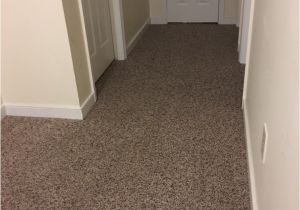 Carpet Cleaning Midlothian Va Midlothian Va Carpet Cleaning by Chem Dry Rug