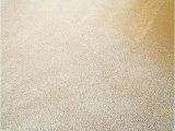 Carpet Cleaning Midlothian Va Royalty Carpet Cleaning Midlothian Va Www Stkittsvilla Com