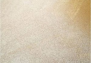 Carpet Cleaning Midlothian Va Royalty Carpet Cleaning Midlothian Va Www Stkittsvilla Com