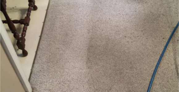 Carpet Cleaning Midlothian Virginia A Best Of Carpet Cleaners In Midlothian Va