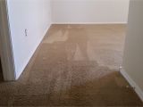 Carpet Cleaning Rio Rancho Rio Rancho Carpet Stretch and Cleaning Carpet Repair