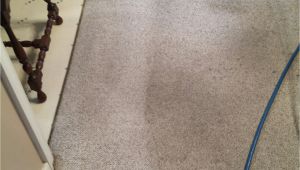 Carpet Cleaning Services Midlothian Va A Best Of Carpet Cleaners In Midlothian Va