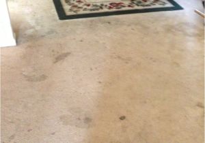 Carpet Cleaning Stafford Va Carpet Cleaning and Expert Stains Removal Fredericksburg