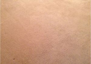 Carpet Cleaning Stafford Va Carpet Cleaning and Expert Stains Removal Fredericksburg