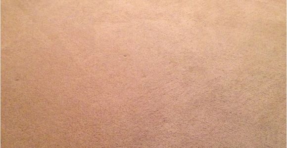 Carpet Cleaning Stafford Va Carpet Cleaning and Expert Stains Removal Fredericksburg