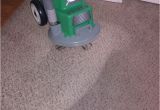 Carpet Cleaning Summerville Sc 49 Best Chem Dry Of Brazos County Images On Pinterest Cleaning