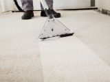 Carpet Cleaning Summerville Sc Http Fredrikmathisen Com Apetamin In Stores In Houston 2018 10