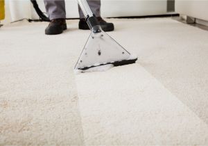 Carpet Cleaning Summerville Sc Http Fredrikmathisen Com Apetamin In Stores In Houston 2018 10