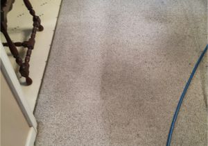 Carpet Cleaning Summerville Sc Http Fredrikmathisen Com Apetamin In Stores In Houston 2018 10