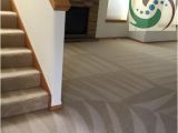 Carpet Cleaning Tumwater Wa Carpet Cleaning Olympia Carpet Cleaning Tumwater