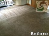 Carpet Cleaning Tumwater Wa Carpet Cleaning Olympia Carpet Cleaning Tumwater