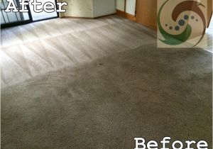 Carpet Cleaning Tumwater Wa Carpet Cleaning Olympia Carpet Cleaning Tumwater