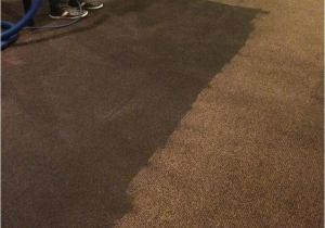 Carpet Cleaning Tumwater Wa Commercial Cleaning Services form Olympia to Everett