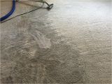 Carpet Cleaning Tumwater Wa Prosteam Services 19 Photos Carpet Cleaning Tumwater