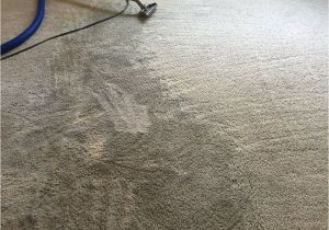 Carpet Cleaning Tumwater Wa Prosteam Services 19 Photos Carpet Cleaning Tumwater