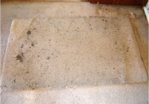 Carpet Cleaning Upland Ca Carpet Cleaning Ontario Upland Rancho Cucamonga Ca