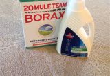 Carpet Cleaning Victoria Tx Dry Carpet Cleaning Products Best Of the Best Carpet Cleaning