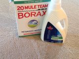 Carpet Cleaning Victoria Tx Dry Carpet Cleaning Products Best Of the Best Carpet Cleaning