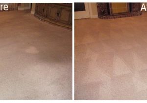 Carpet Cleaning West Jordan Ut Carpet Cleaning In Lancaster south Carolina Cincinnati