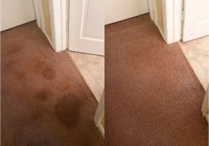 Carpet Cleaning Yuba City California Smart Dry Carpet Cleaning 97 Photos Carpet Cleaning 8920