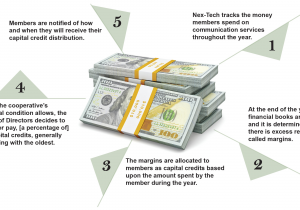 Carpet Financing No Credit Check Capital Credit Check Nex Tech