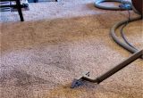 Carpet Steam Cleaning Amarillo Tx Apex Carpet and Upholstery Cleaning Carpet Cleaning Service In