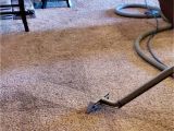Carpet Steam Cleaning Amarillo Tx Apex Carpet and Upholstery Cleaning Carpet Cleaning Service In
