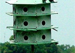 Casas De Venta En orlando Florida Purple Martin House In orlando Fl Bird Houses Pinterest