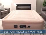 Cat Proof Air Mattress Best Cat Puncture Proof Air Mattresses Updated Reviews