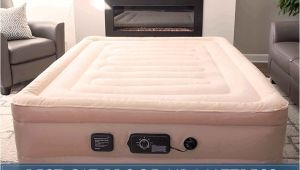 Cat Proof Air Mattress Best Cat Puncture Proof Air Mattresses Updated Reviews