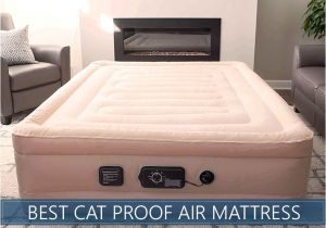 Cat Proof Air Mattress Best Cat Puncture Proof Air Mattresses Updated Reviews