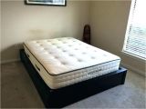 Cat Proof Air Mattress Best Rated Air Mattress Air Beds Reviews Enchanting Air