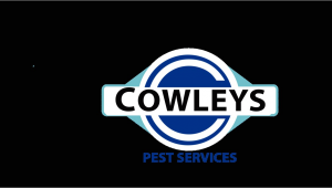 Central Pest Control toms River Nj Pest Control Services Extermination Company In Mercer Ocean