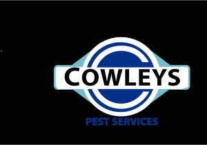 Central Pest Control toms River Nj Pest Control Services Extermination Company In Mercer Ocean