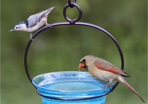 Ceramic Bird Bath Replacement Bowls Ceramic Bird Bath Replacement Bowls Bird Cages