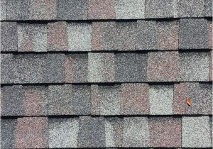 Certainteed Landmark Pro Colonial Slate Shingles Craddock Roofing On Twitter Quot Certainteed Landmark Pro